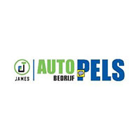 logo pels auto