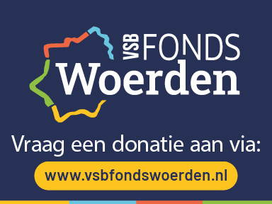 logo VSB fonds Infozuil